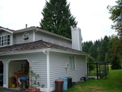 photo: before